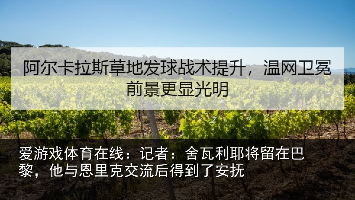 爱游戏体育在线:记者:舍瓦相关情况情况安抚